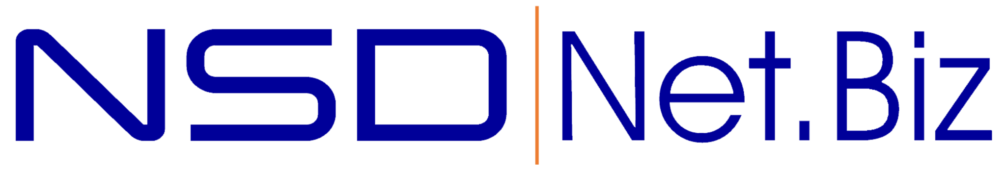 NSDnet.biz Logo